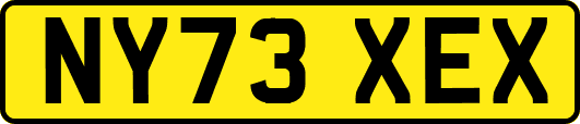 NY73XEX