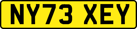 NY73XEY