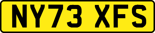 NY73XFS