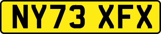 NY73XFX