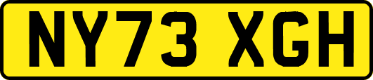 NY73XGH