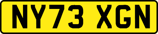 NY73XGN