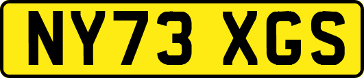 NY73XGS