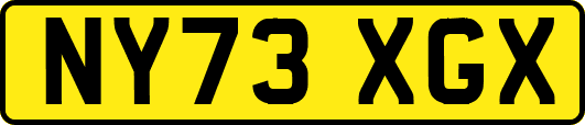 NY73XGX