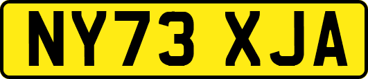 NY73XJA