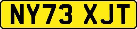 NY73XJT