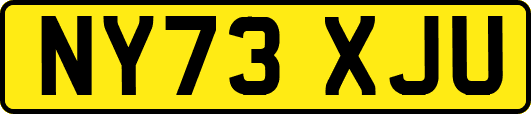 NY73XJU