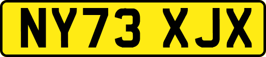 NY73XJX