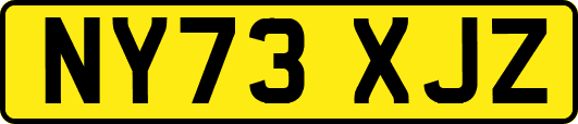 NY73XJZ