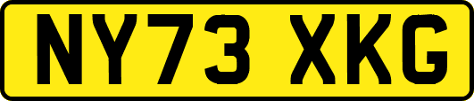 NY73XKG