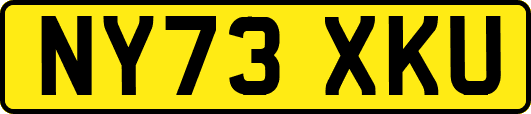 NY73XKU