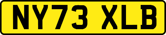 NY73XLB