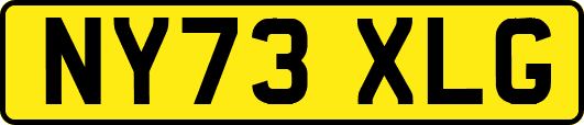 NY73XLG