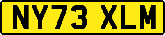 NY73XLM