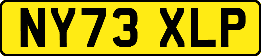NY73XLP