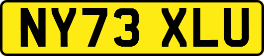 NY73XLU