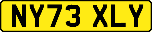 NY73XLY