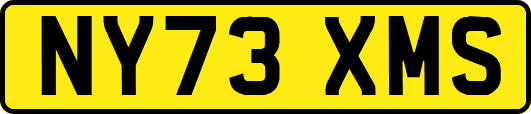 NY73XMS