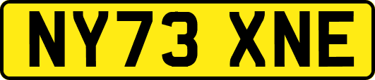 NY73XNE