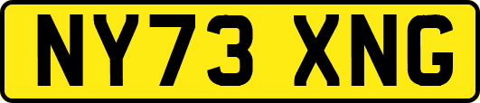 NY73XNG