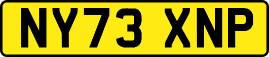 NY73XNP
