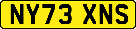 NY73XNS