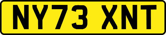 NY73XNT