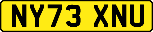 NY73XNU