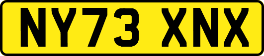 NY73XNX