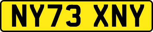 NY73XNY