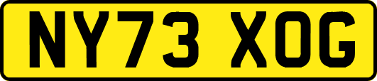 NY73XOG