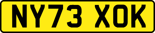 NY73XOK
