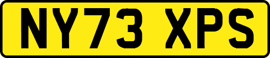 NY73XPS