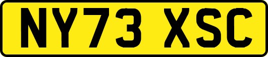 NY73XSC