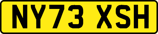 NY73XSH