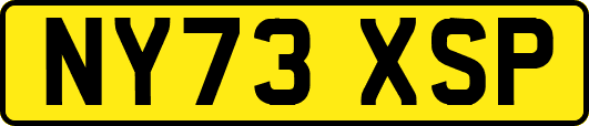 NY73XSP