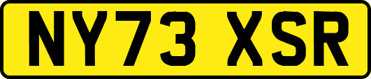 NY73XSR
