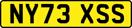 NY73XSS