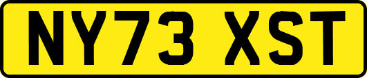NY73XST