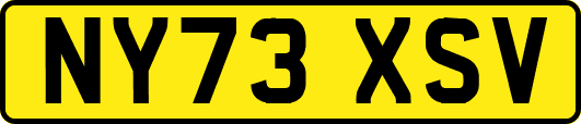 NY73XSV