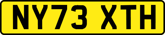 NY73XTH