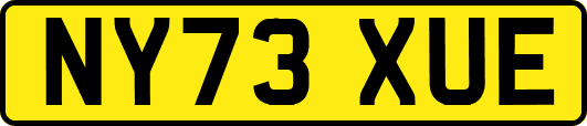 NY73XUE