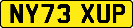 NY73XUP
