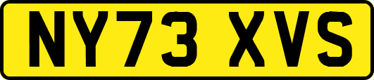 NY73XVS