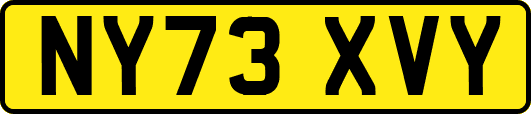 NY73XVY