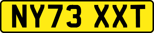 NY73XXT