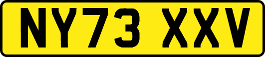 NY73XXV