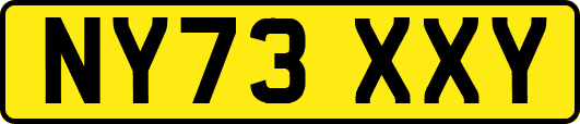 NY73XXY