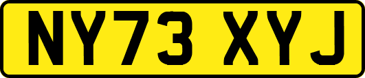 NY73XYJ