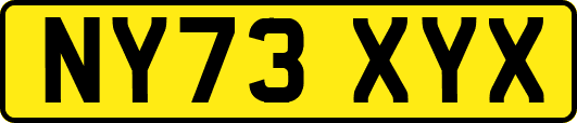 NY73XYX